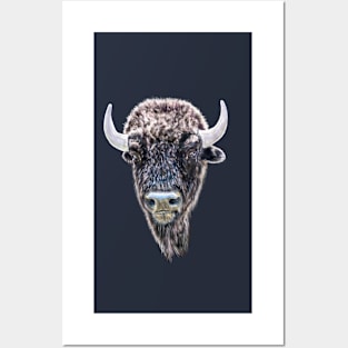 Buffalo Head Portrait Posters and Art